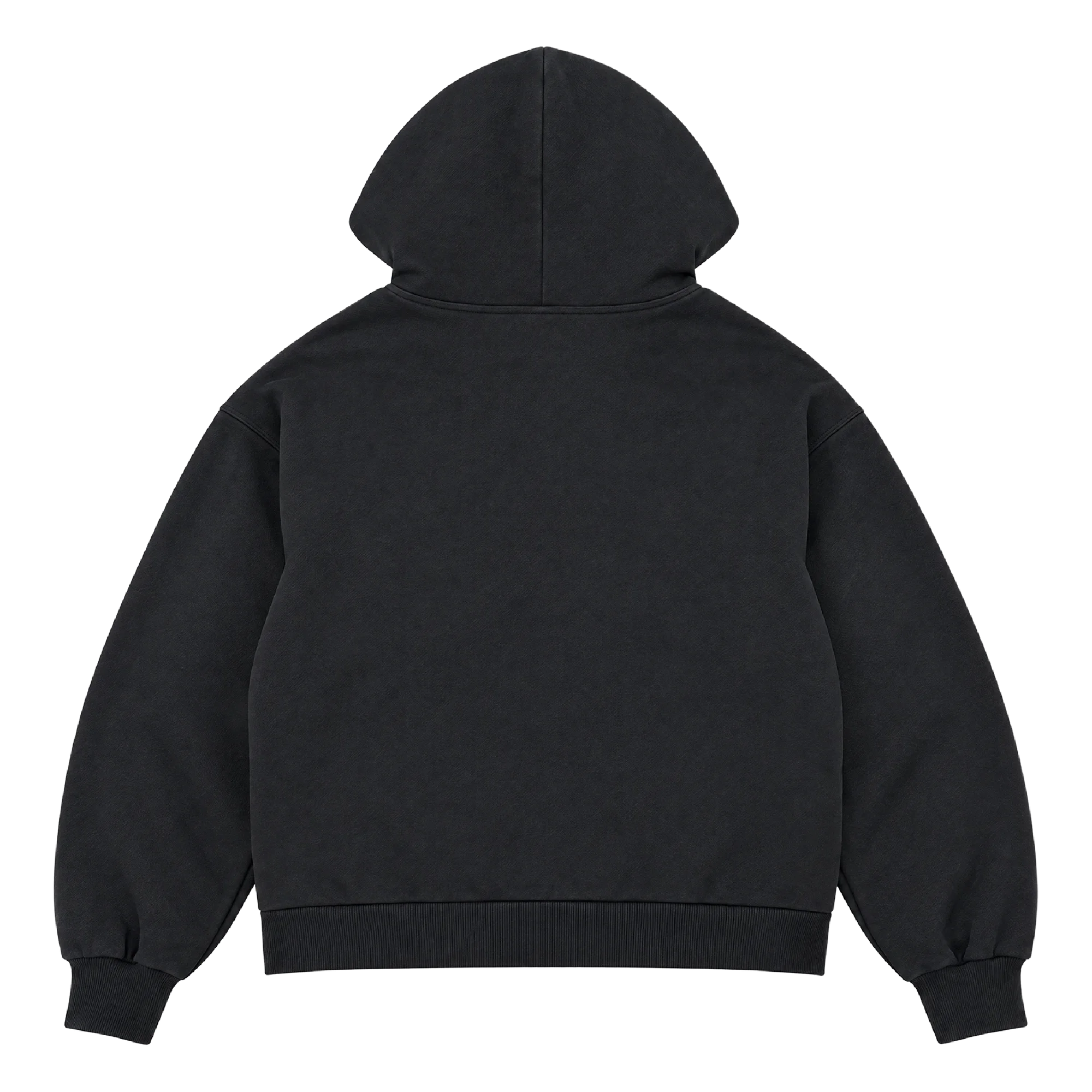 Heavyweight Black Zip-Up Hoodie Print — back